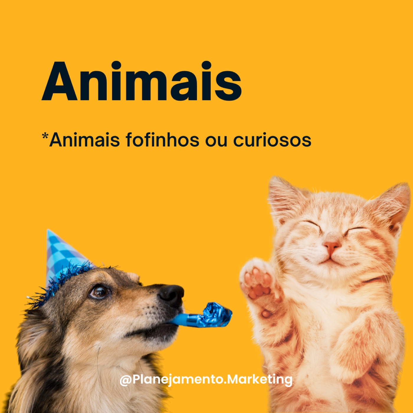 imagens que chamam atenção — imagem 9