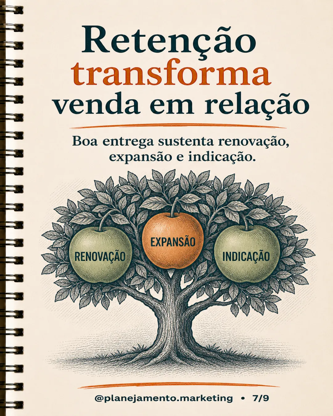 receita não começa na campanha — página 7 de 9