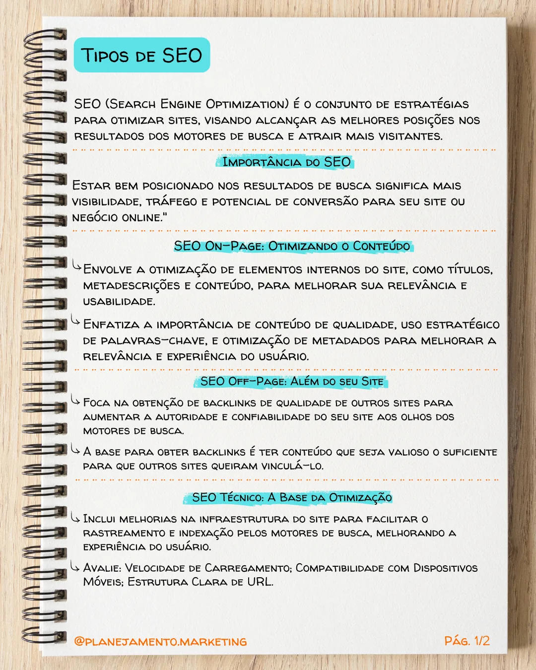 tipos de SEO